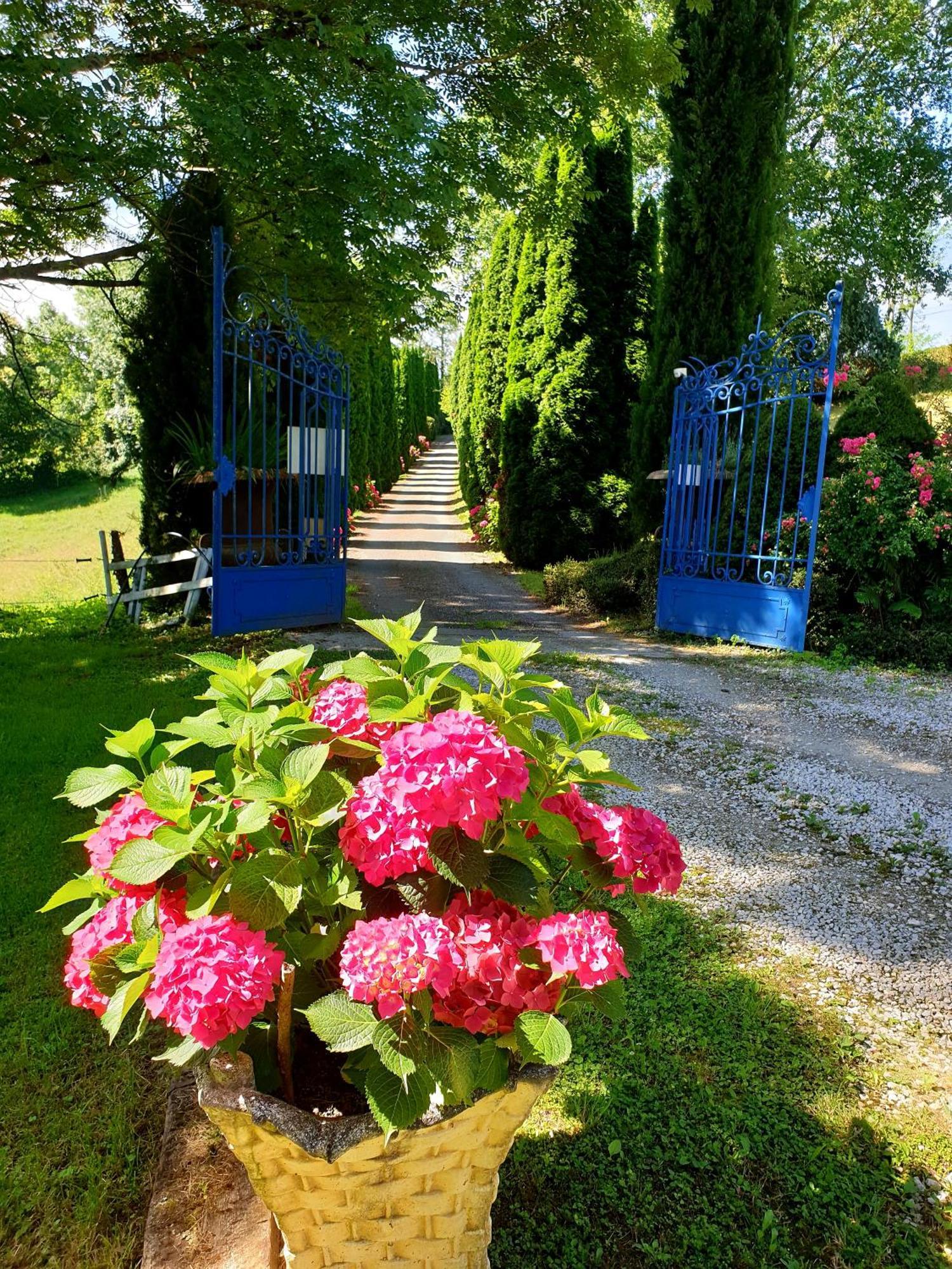 La Ferme De Jeanne Bed and Breakfast Saint-Girons  Eksteriør billede